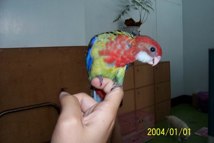 mtjrs367