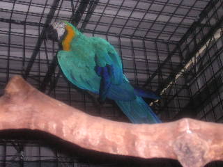 name
