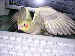 我來囉.