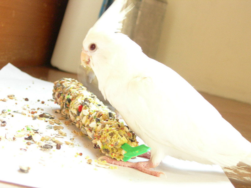 享受美食~~