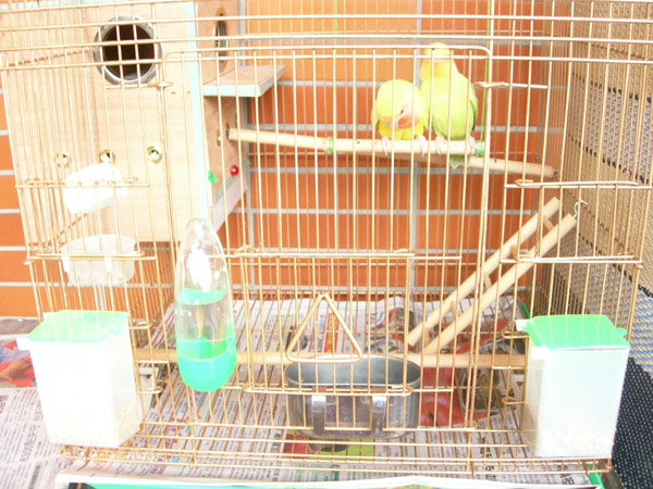 AIVA&LULU的家~