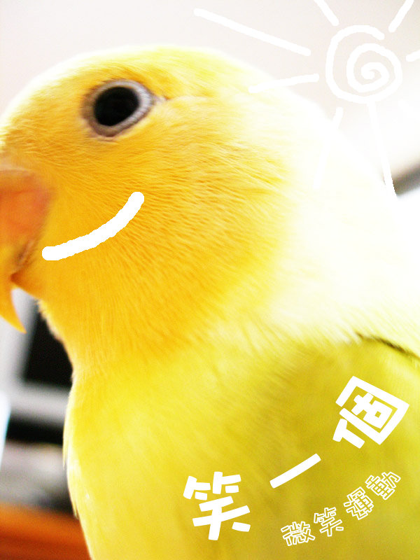 微笑LuLu~