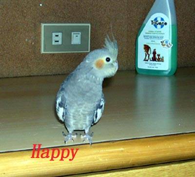 Happy長大囉~