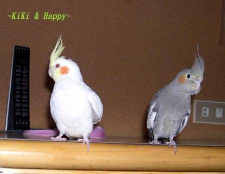 KiKi & Happy