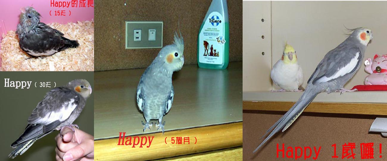 Happy的成長^^