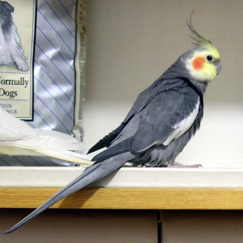 我是Happy ^^