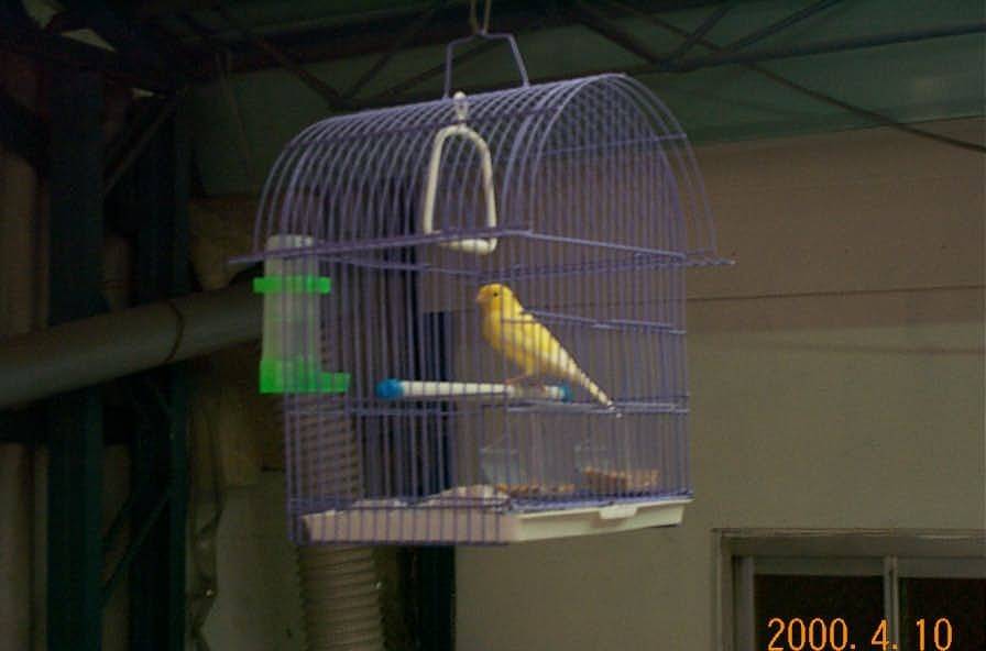 neil0311