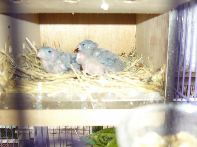 Photo 23278