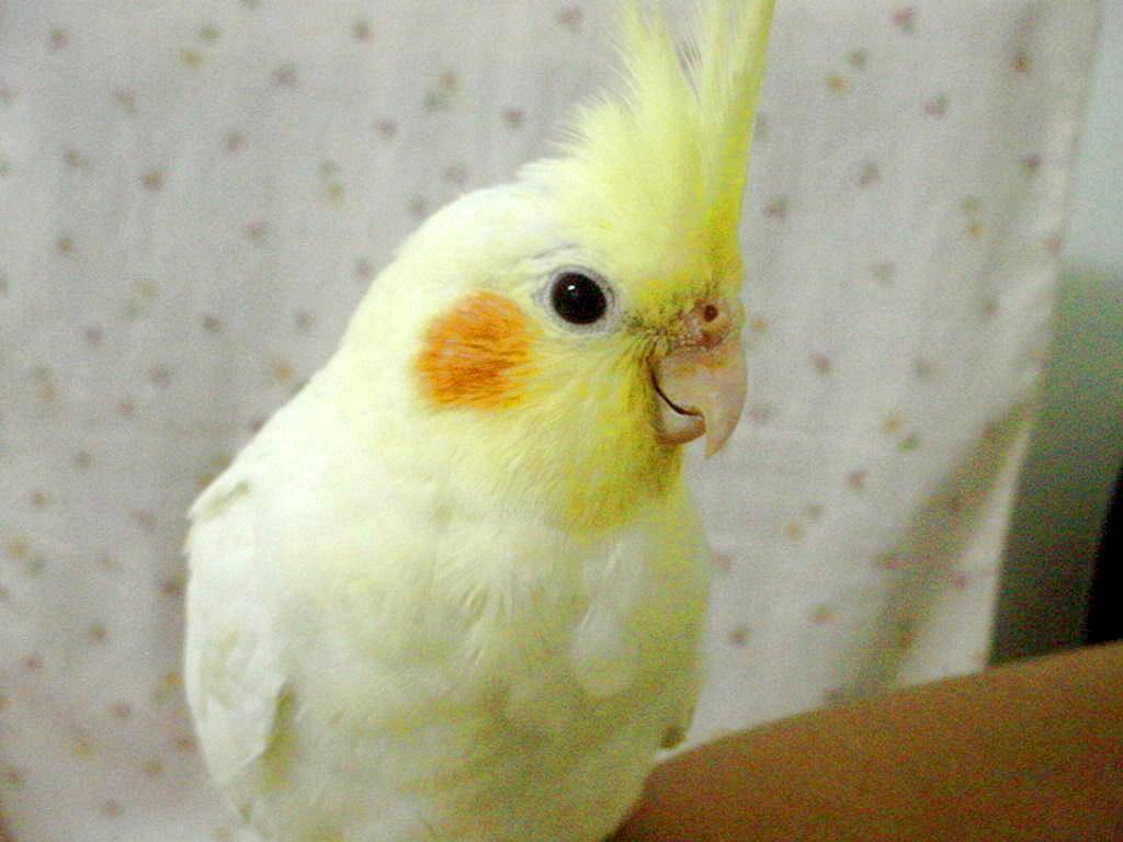 你在看我嗎?!