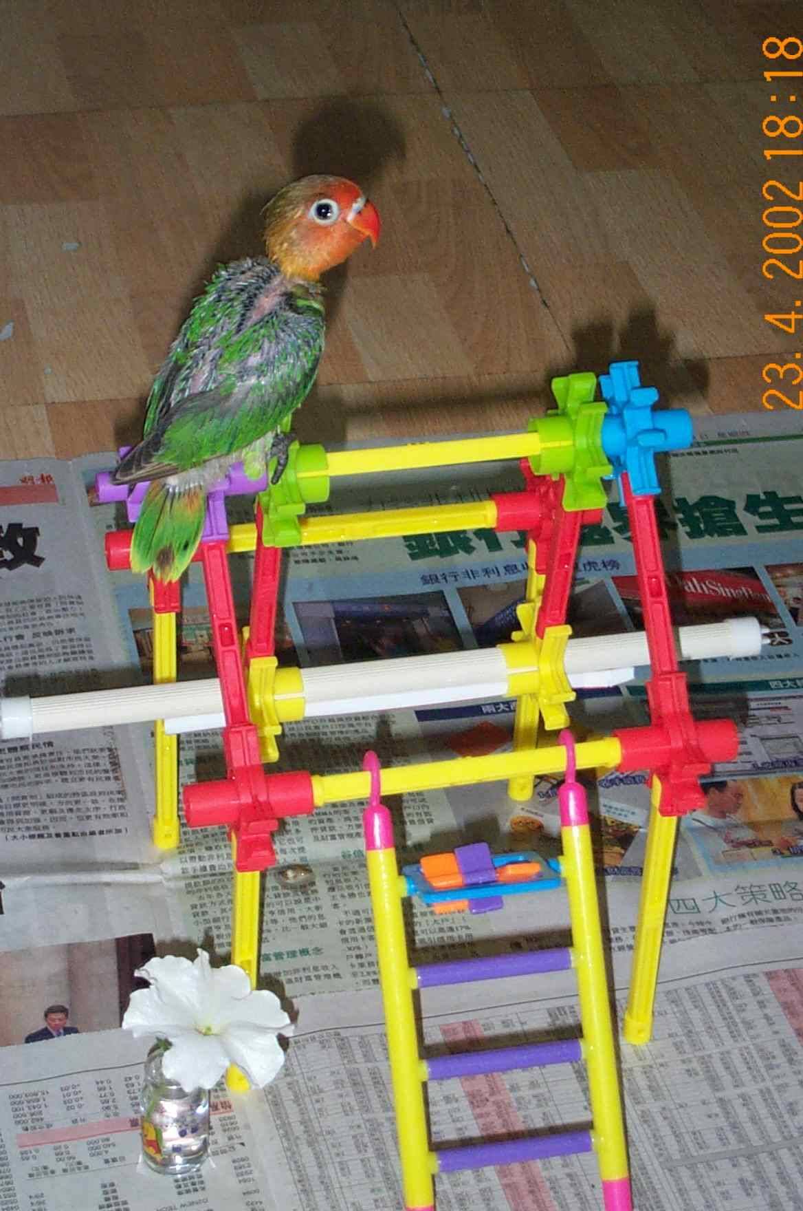 恐怖的影子>o<