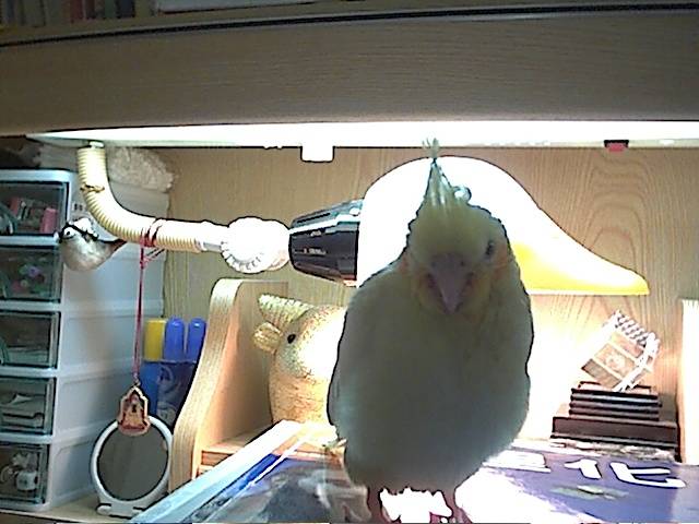 照一張嘛！~~~