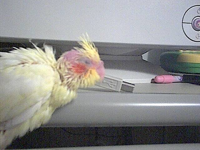 z~z~z