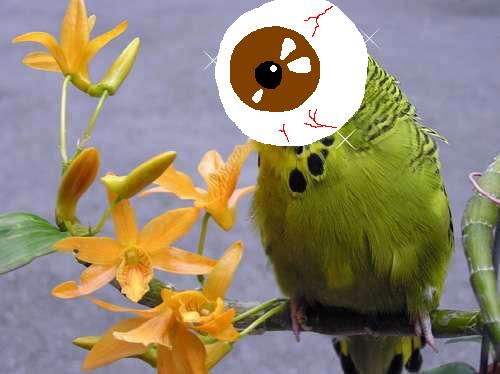 來這套？