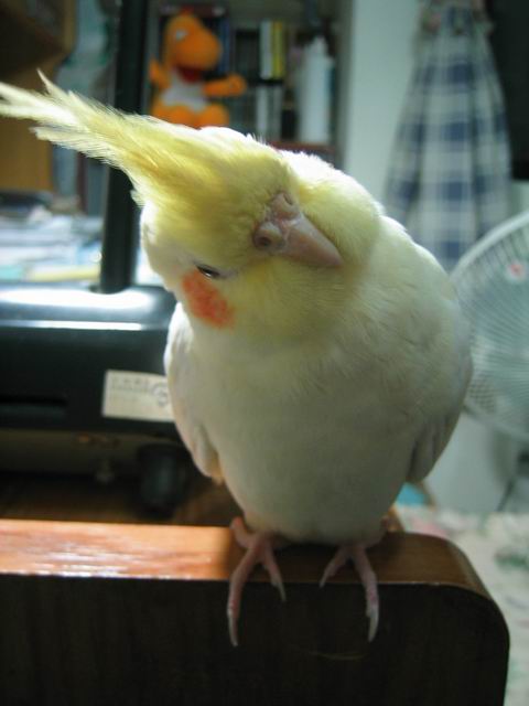 再拍一張正面照吧！