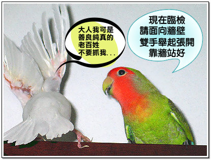 現在臨檢,請面向牆壁把雙手舉起