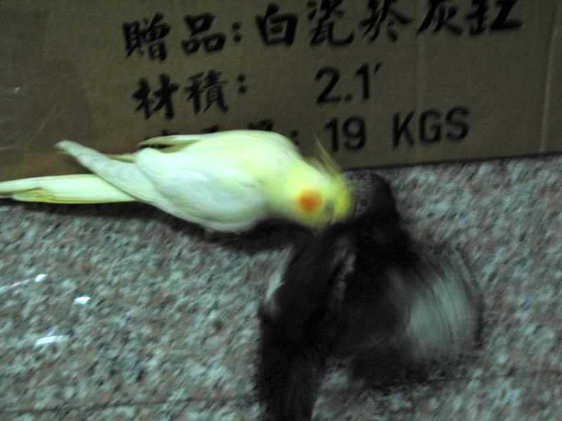不要啦..你揍開