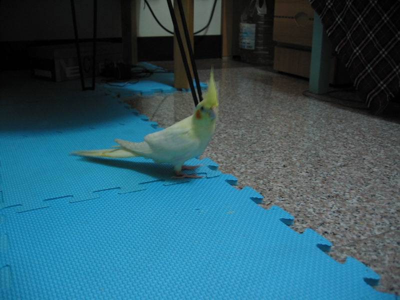 害我好無聊哦!!