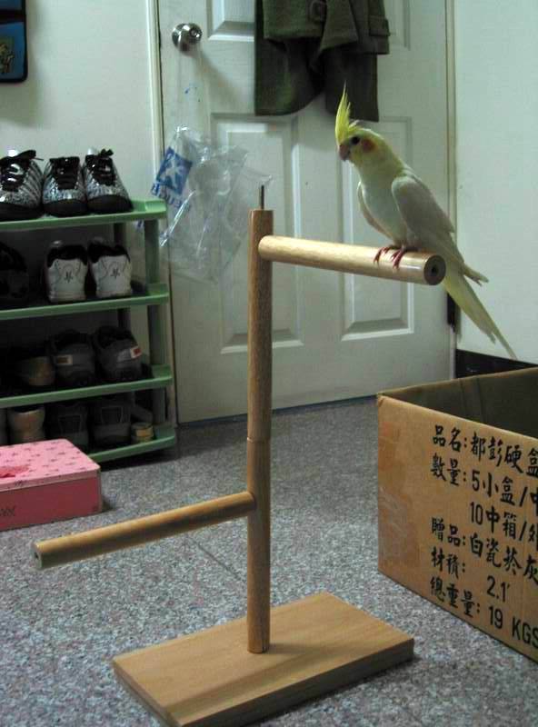第一次DIY站架