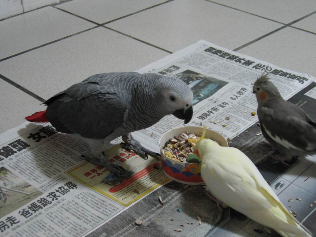這到底是誰的飼料呀???