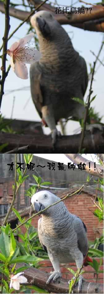 Photo 21082