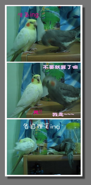 幫我抓癢(ii)~~~