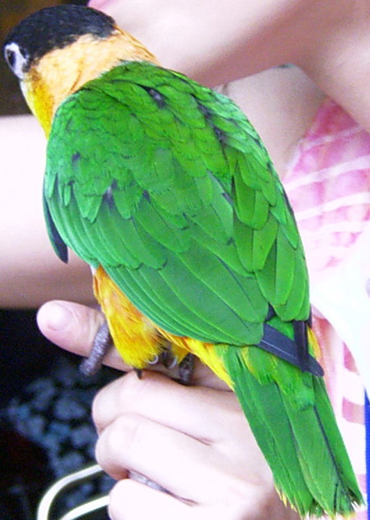 Photo 23670