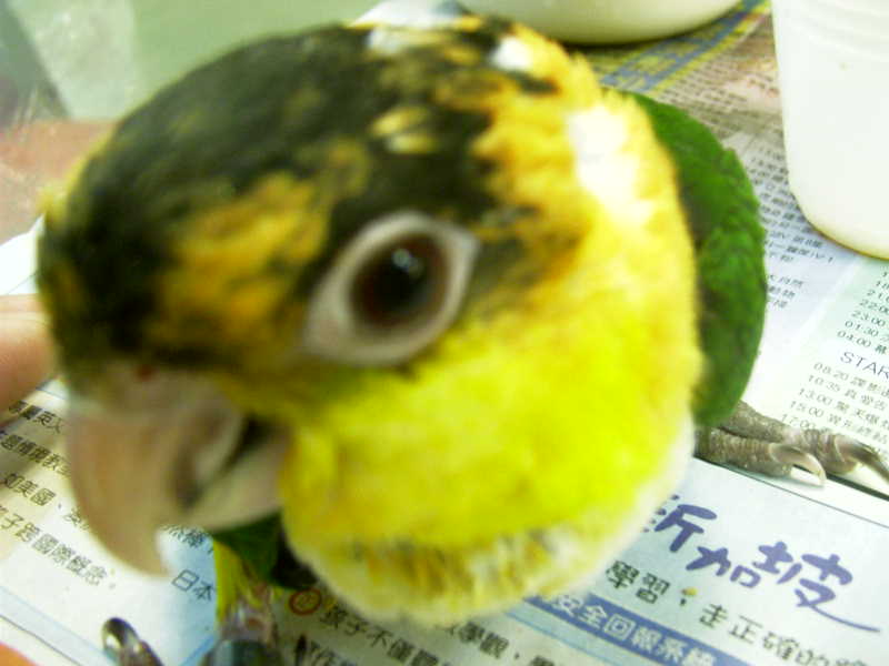 Photo 23671