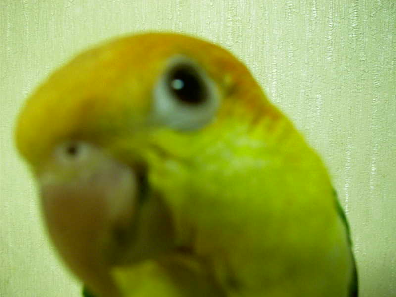 Photo 23672