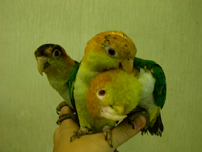 Photo 23674