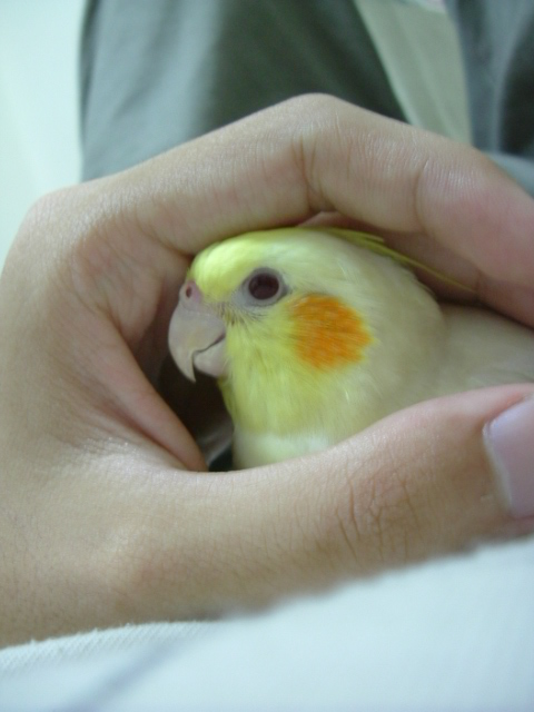 好安心。