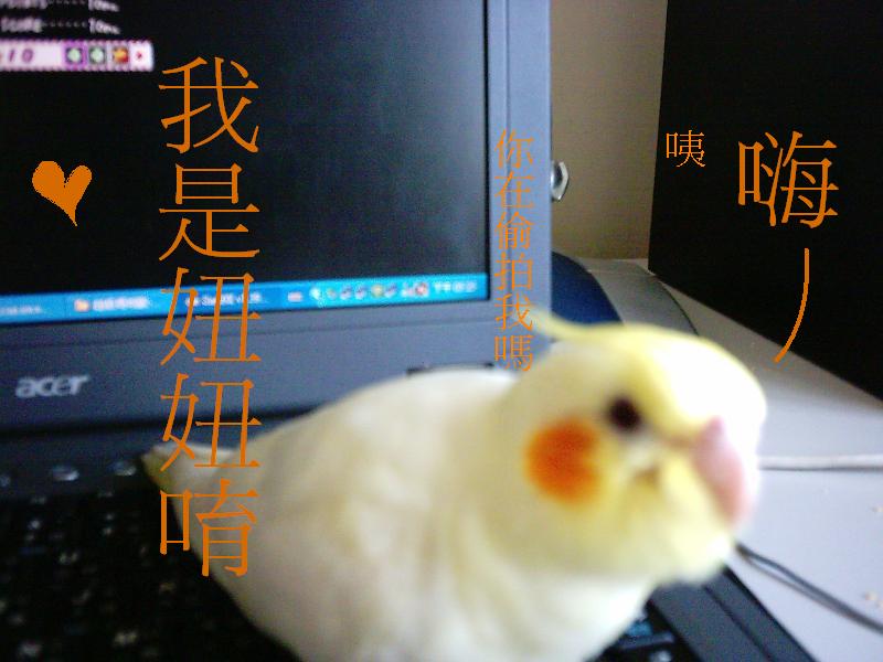 你在拍我嗎?
