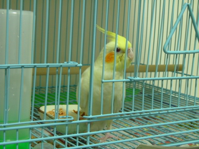 快開門~~~~