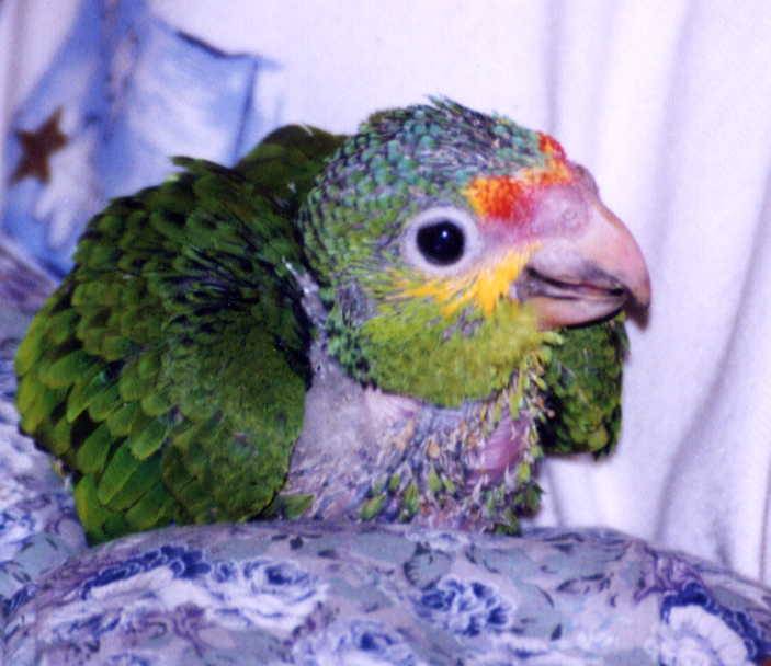 吃飽喝足睡覺去