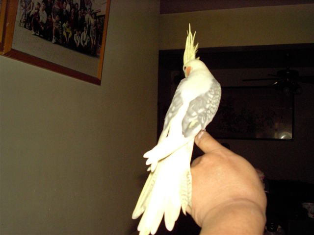 我叫阿泰