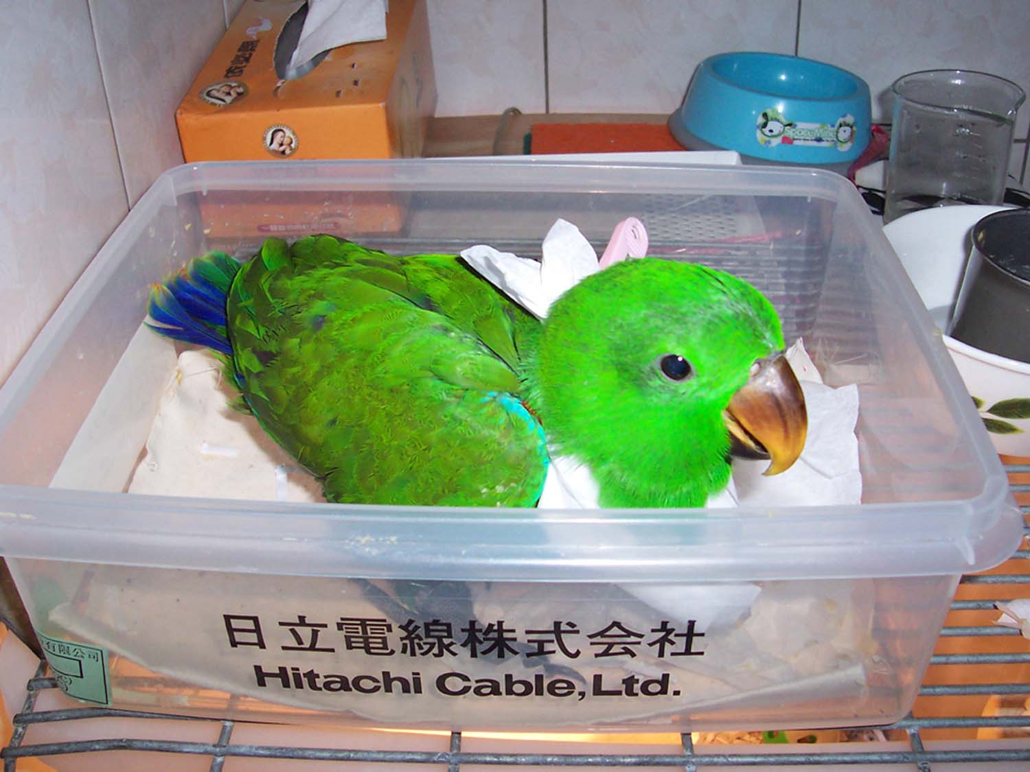又見果醬