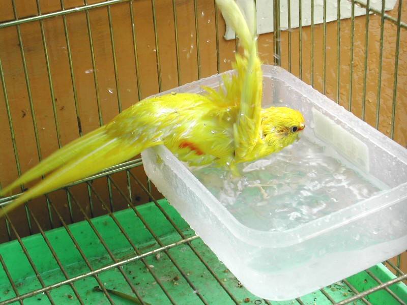洗澡了~~