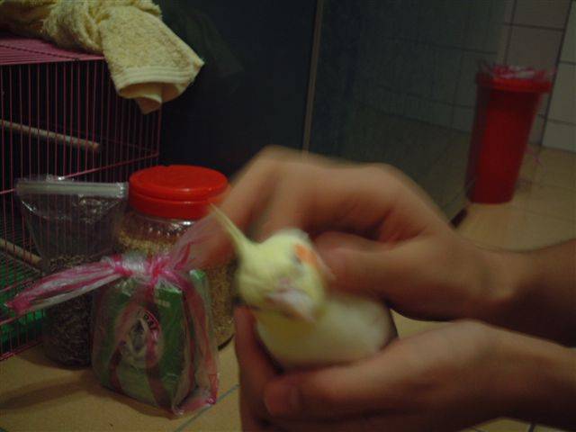 正在享受的小B~!