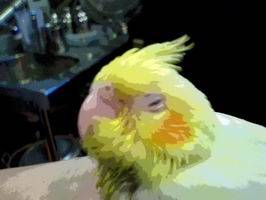 真尷尬...
