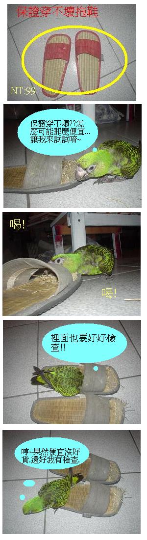 買物王~