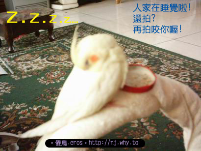 還拍??咬你喔~~