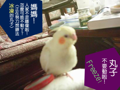 快~~變冰棒!!!^^"
