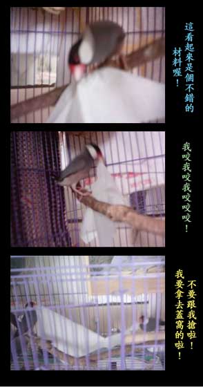 我愛衛生紙~~~~