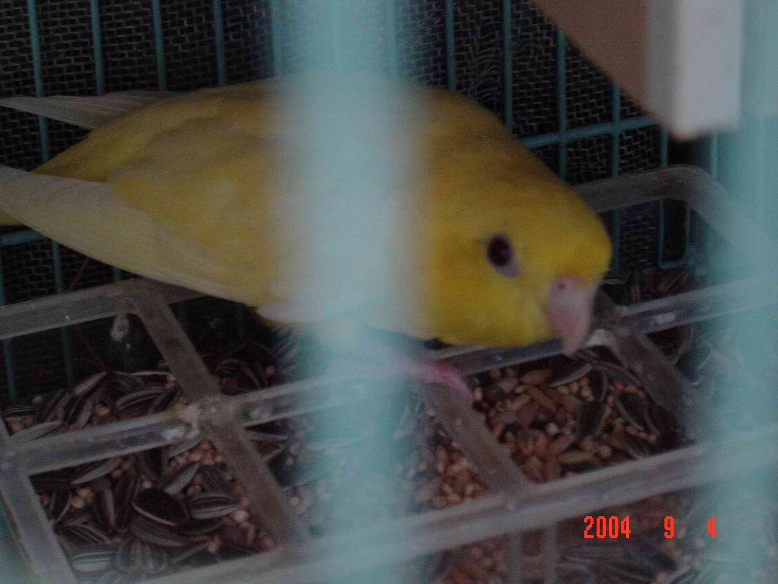 s0566