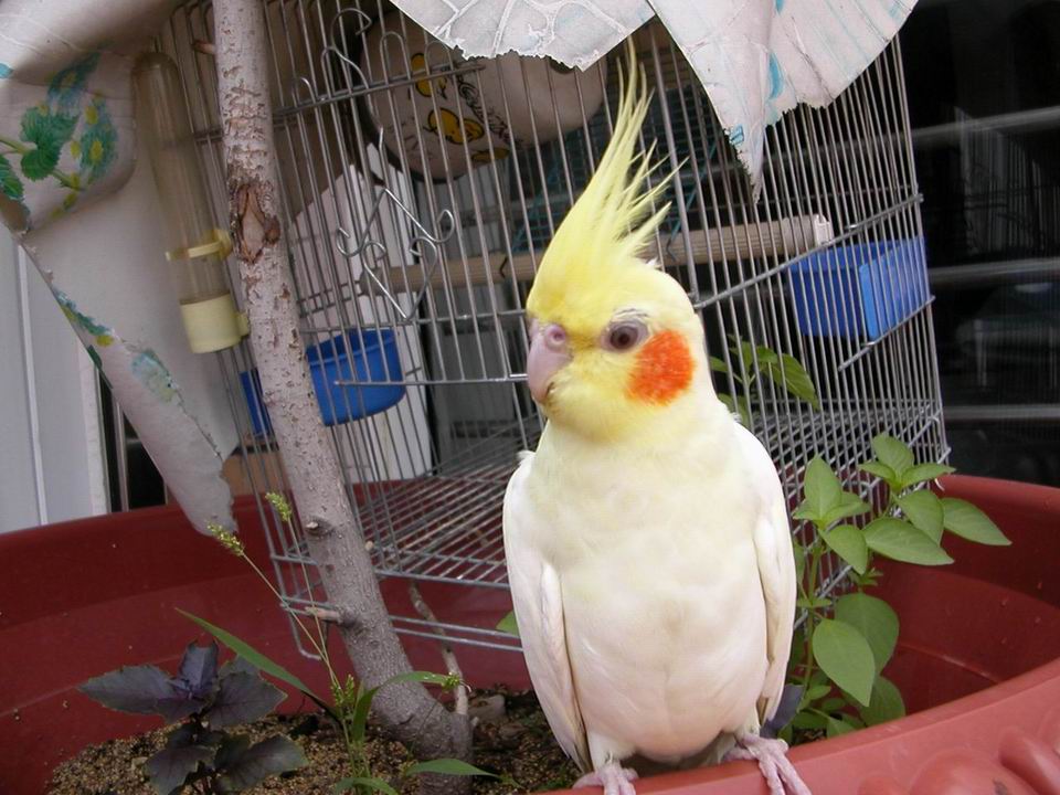 生態家園