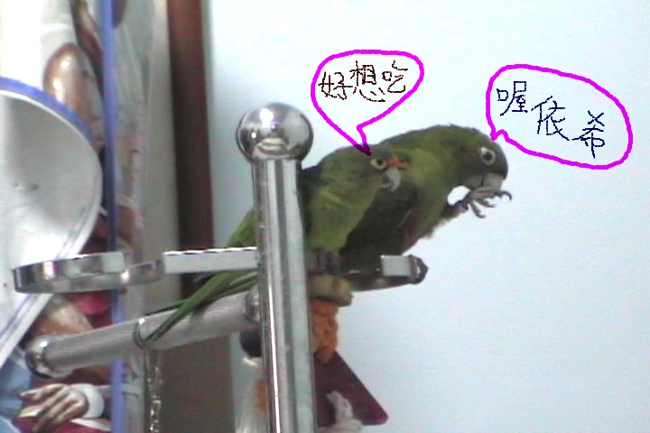 哥倆好