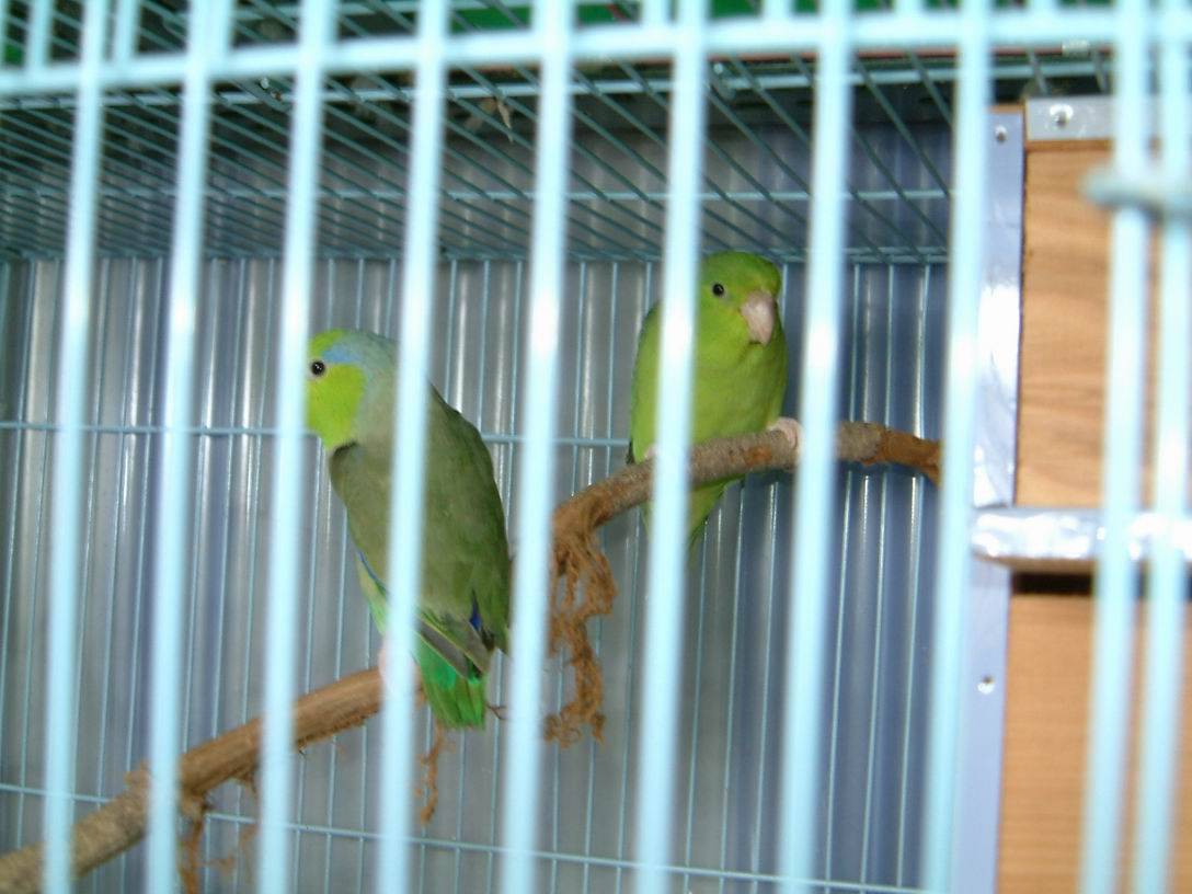 按摩腳底