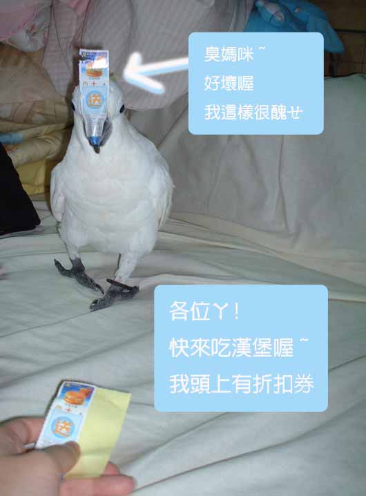 來吃漢堡喔~偶有折價券