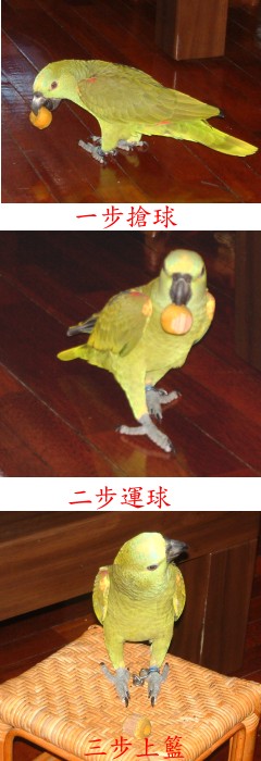 看我三步上籃...