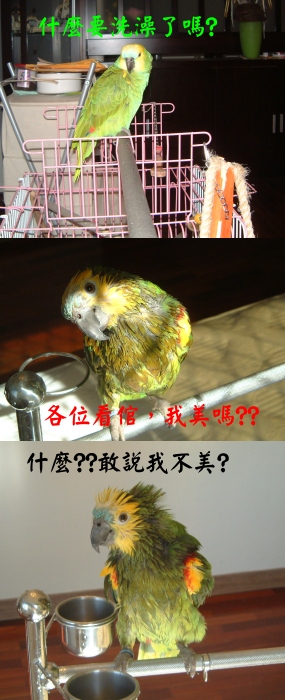 貴妃出浴...露點的喔