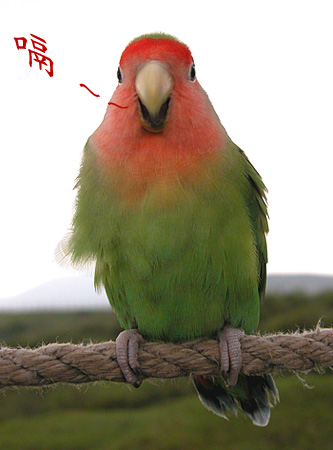 嗝~~~